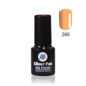 No.260 Pastel Silverfox Gel Polish 6g - Image 1