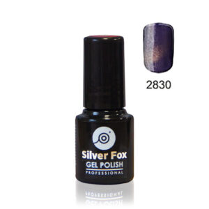 No.2830 Cat Eye Silverfox Gel Polish 6g - Image 1