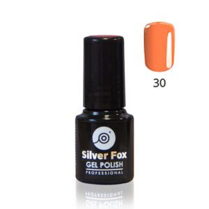 No.30 Neon Silverfox Gel Polish 6g - Image 1